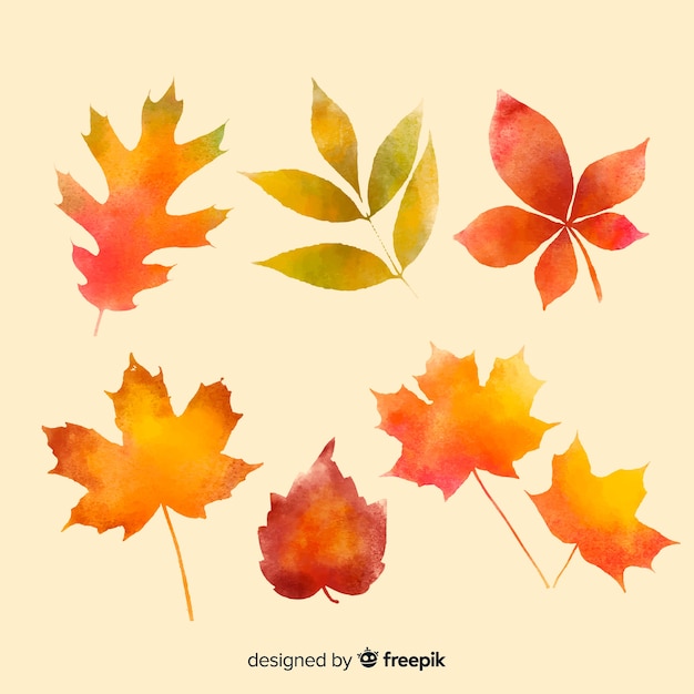 Collection de feuilles d'automne aquarelles