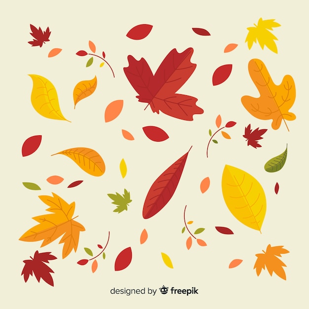 Collection de feuilles d'automne design plat