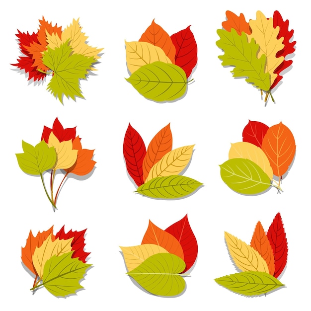 Vecteur gratuit collection de feuilles d'automne de dessin animé