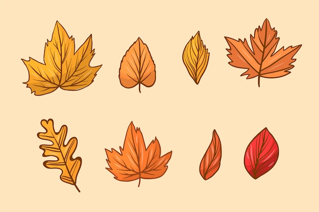 Collection de feuilles d'automne dessinées à la main