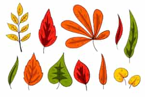 Vecteur gratuit collection de feuilles d'automne dessinées à la main