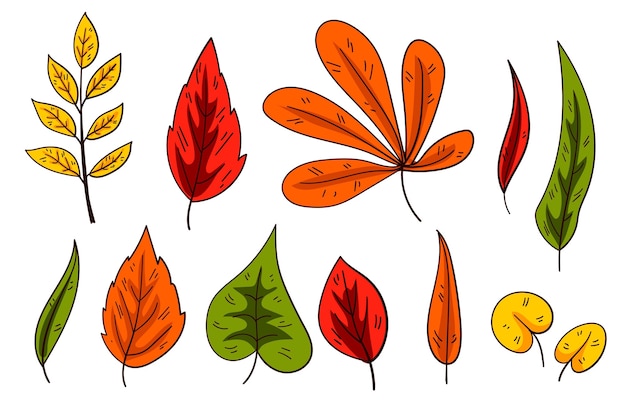 Collection de feuilles d'automne dessinées à la main