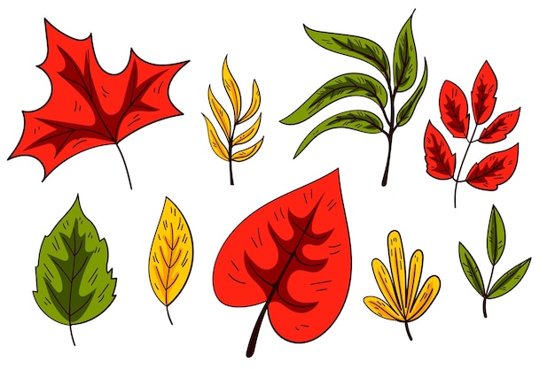 Collection De Feuilles D'automne Dessinées à La Main