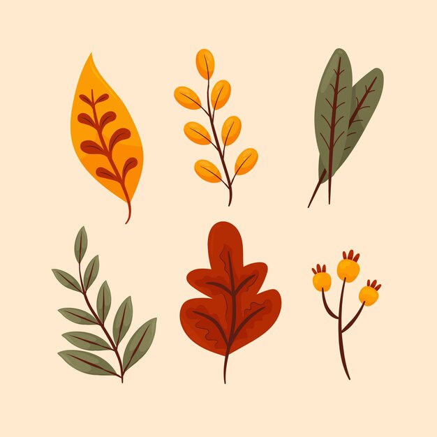 Collection de feuilles d'automne dessinées à la main