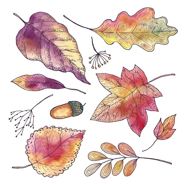 Collection de feuilles d'automne dessinées à la main