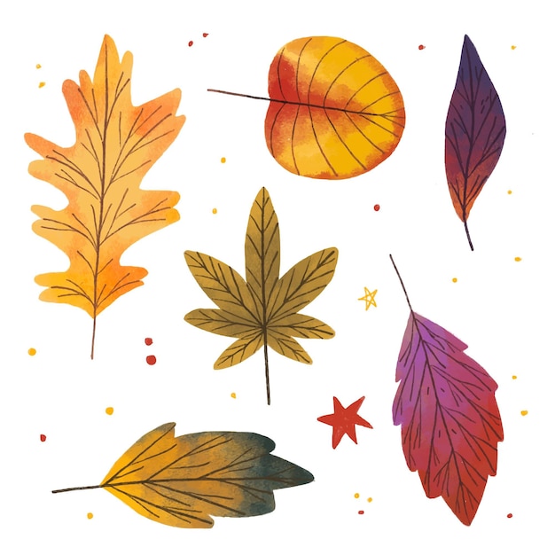 Collection De Feuilles D'automne Dessinées à La Main