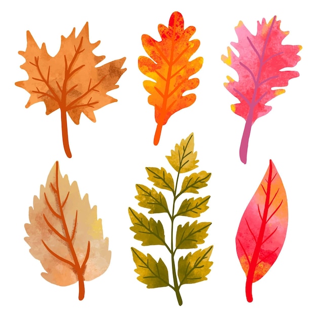 Collection de feuilles d'automne dessinées à la main