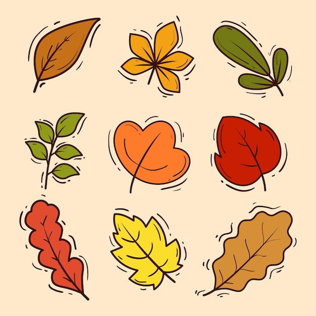 Vecteur gratuit collection de feuilles d'automne dessinés à la main