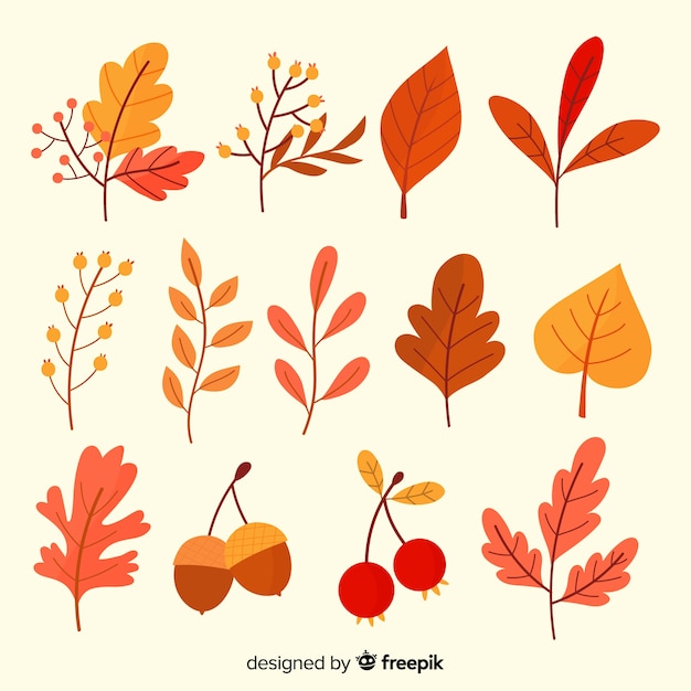 Collection de feuilles d'automne dessinés à la main