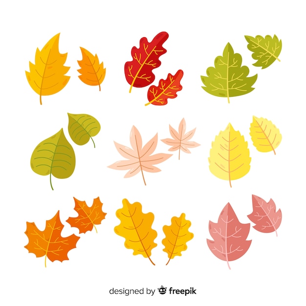 Collection De Feuilles D'automne Plates