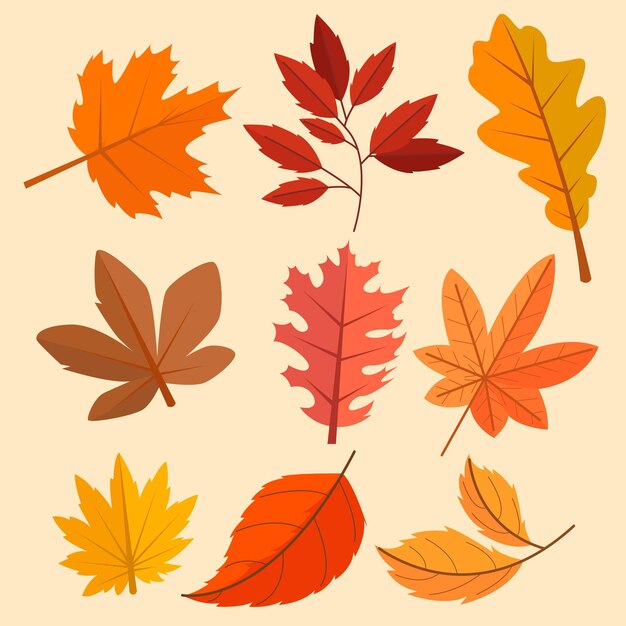 Collection de feuilles d'automne plates