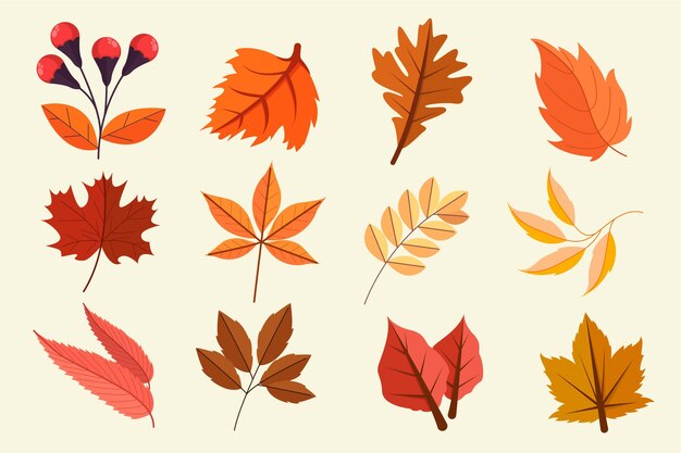 Collection de feuilles d'automne plates