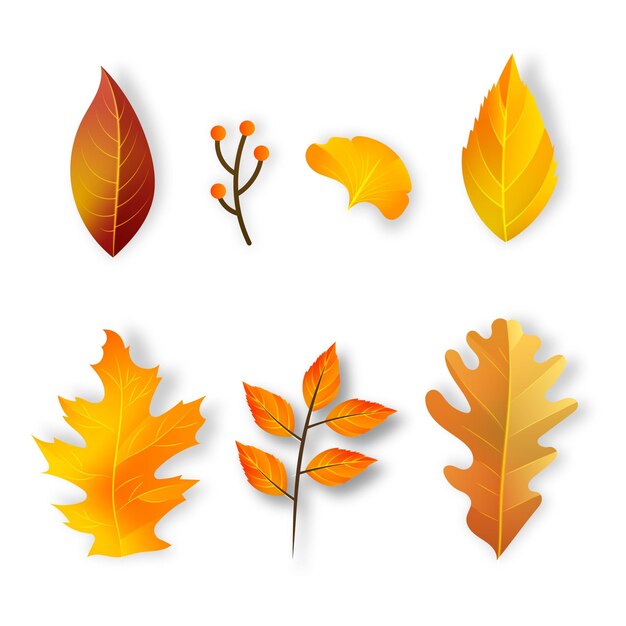 Collection de feuilles d'automne réaliste