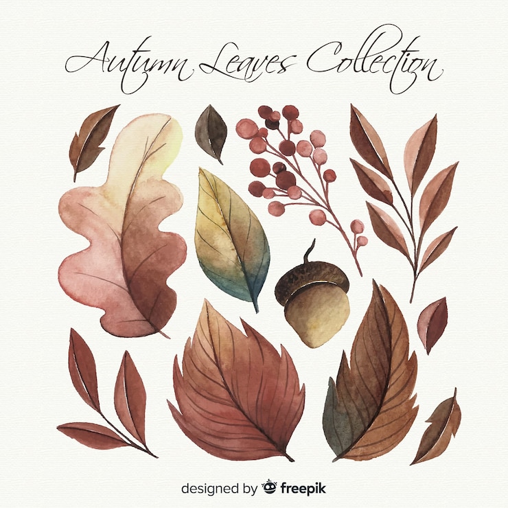Vecteur gratuit collection de feuilles d'automne de style aquarelle