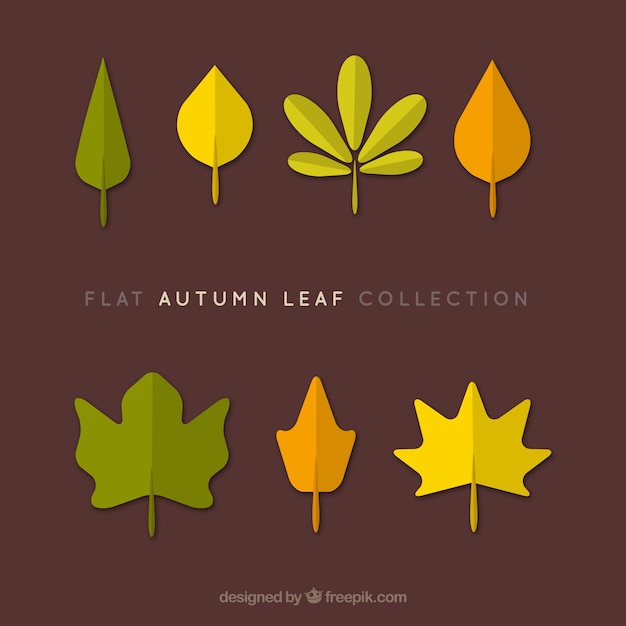 Collection de feuilles d&#39;automne, le style plat