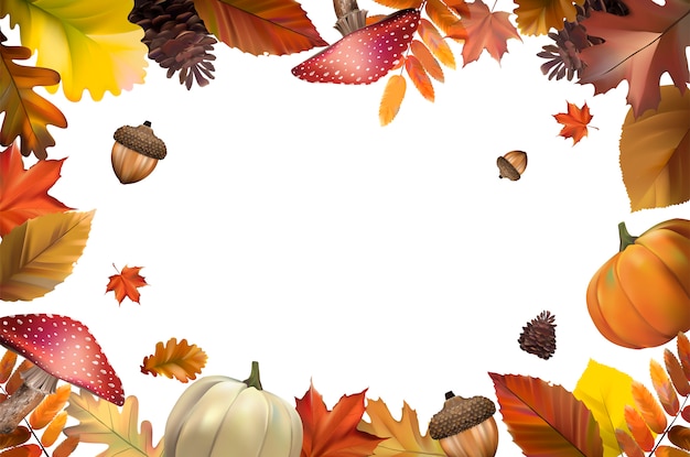 Collection de feuilles d&#39;automne vector