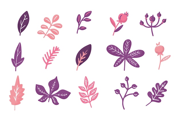 Collection de feuilles d'automne