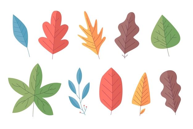 Vecteur gratuit collection de feuilles d'automne