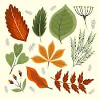 Vecteur gratuit collection de feuilles d'automne