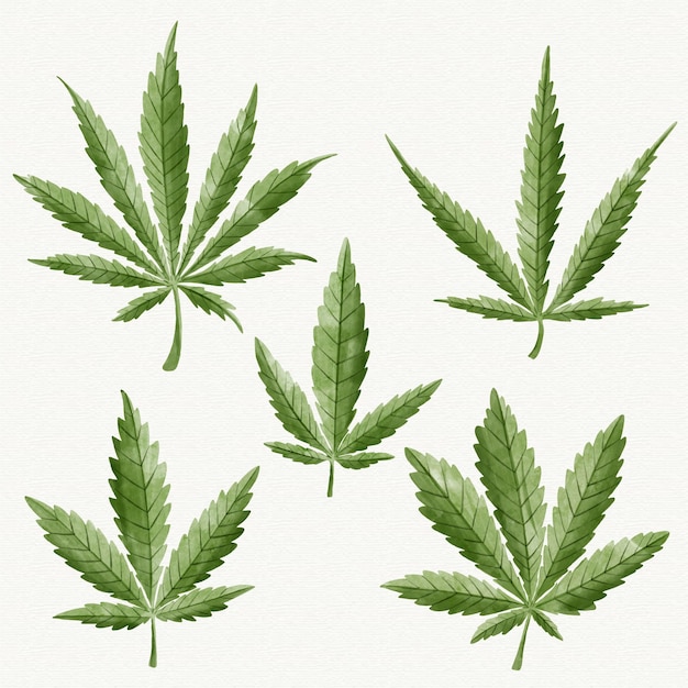 Collection de feuilles de cannabis aquarelle