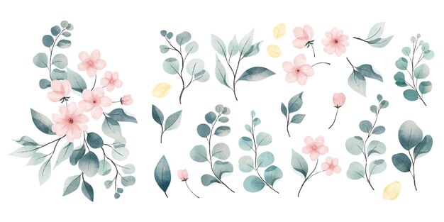 Collection de feuilles et de fleurs aquarelle