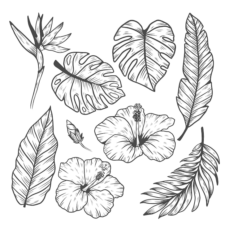 Vecteur gratuit collection de feuilles et de fleurs tropicales
