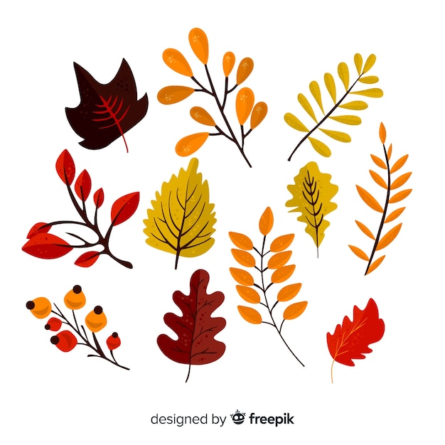 Vecteur gratuit collection de feuilles de forêt automne dessinés à la main