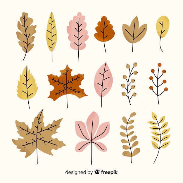 Collection de feuilles de forêt automne dessinés à la main
