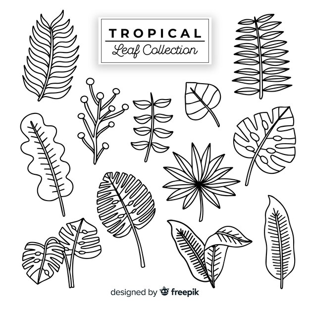 Vecteur gratuit collection de feuilles tropicales dessinées à la main