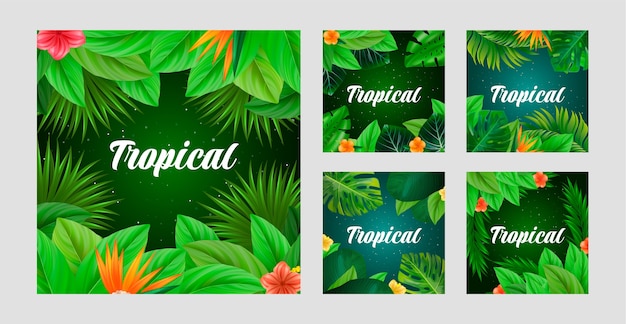 Vecteur gratuit collection de feuilles tropicales réalistes ig post