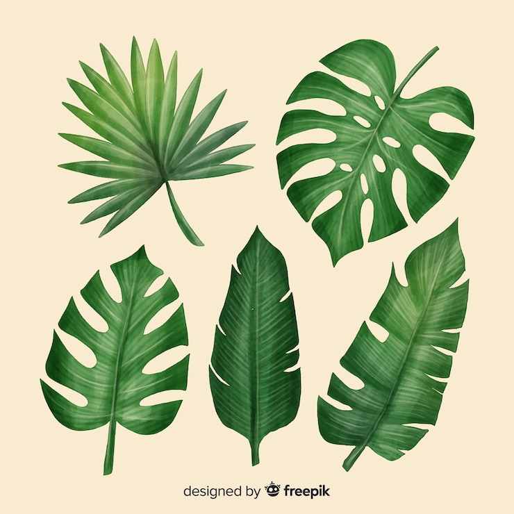 Vecteur gratuit collection de feuilles tropicales réalistes