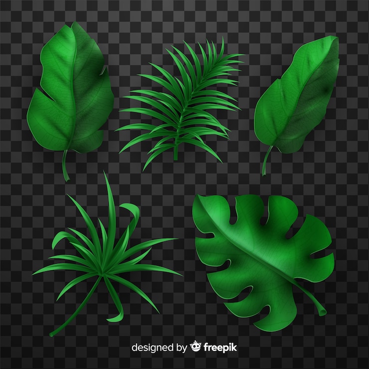 Vecteur gratuit collection de feuilles tropicales réalistes