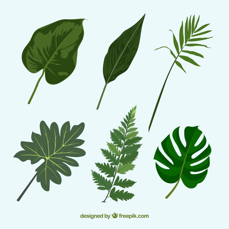 Vecteur gratuit collection de feuilles tropicales