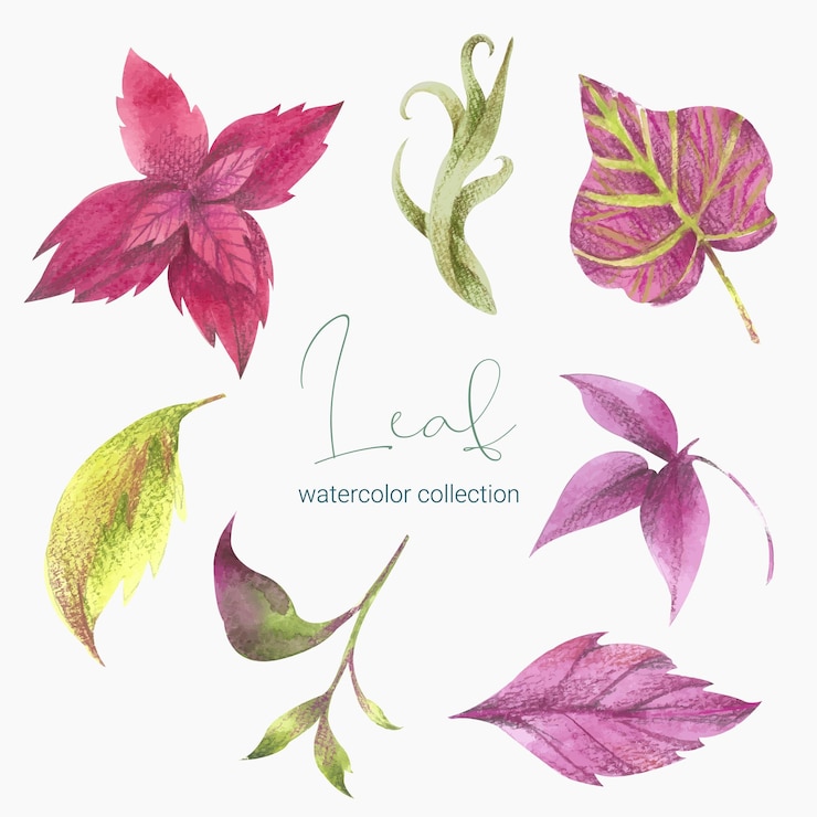 Vecteur gratuit collection de feuilles de verdure plantes herbes forestières feuilles tropicales