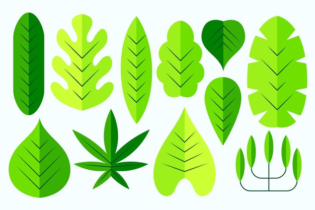 Collection de feuilles vertes différentes design plat