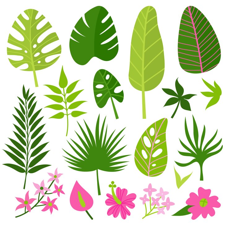 collection Feuilles vertes