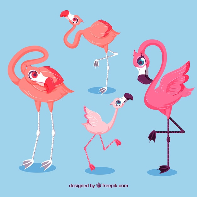 Vecteur gratuit collection de flamants roses avec différentes postures dans un style plat