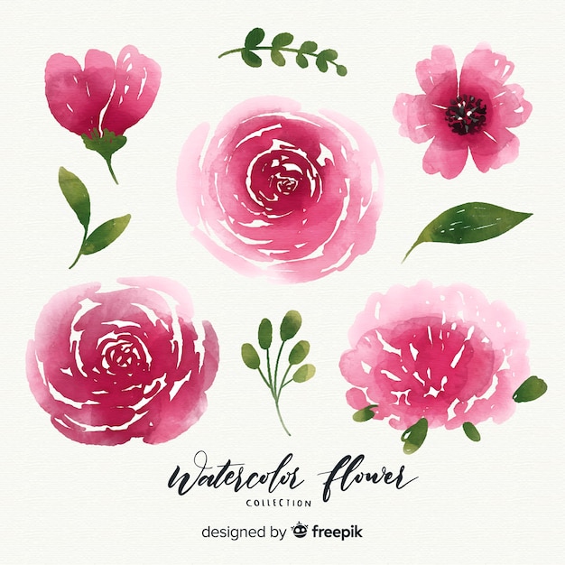 Vecteur gratuit collection de fleurs aquarelle avec des feuilles