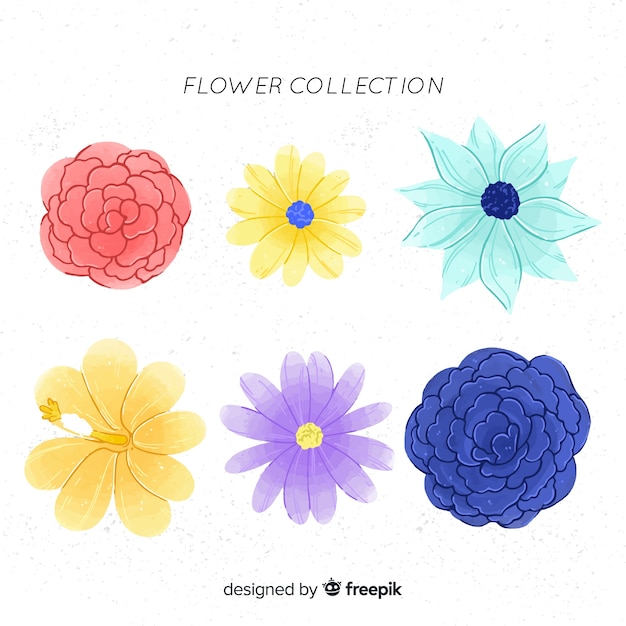 Collection De Fleurs à L'aquarelle