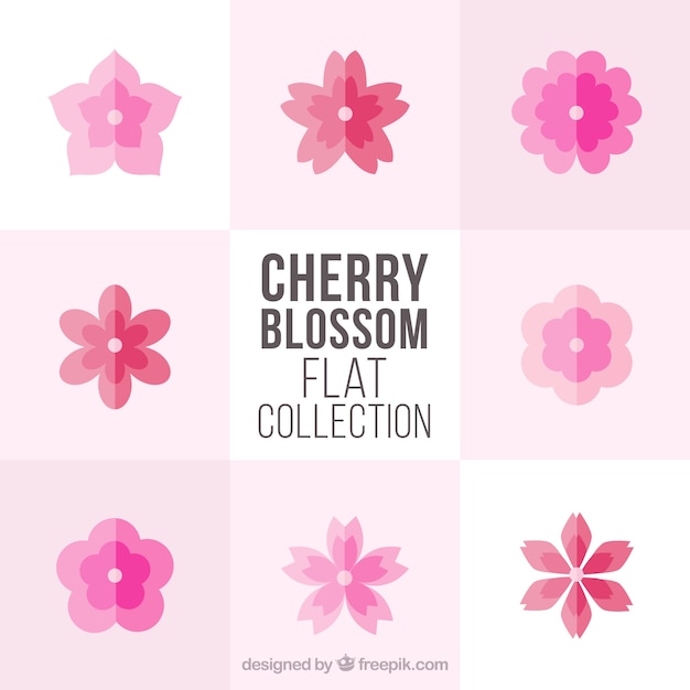 Collection de fleurs de cerisier en design plat