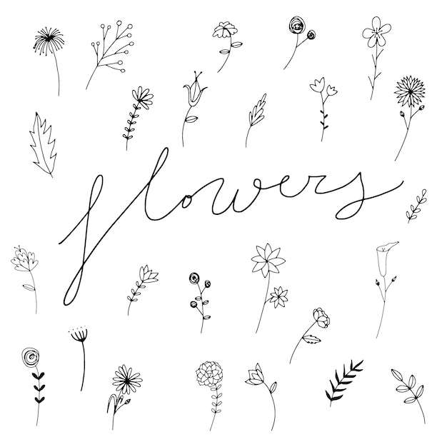 collection de fleurs dessinées à la main