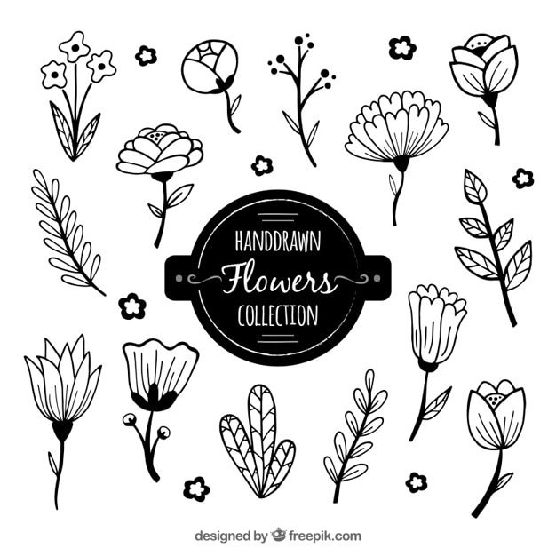 Collection de fleurs dessinées à la main