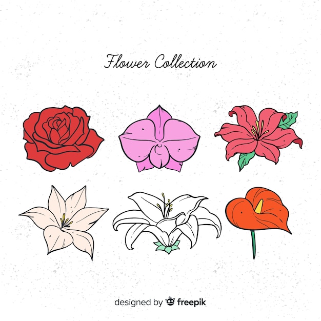 Vecteur gratuit collection de fleurs dessinées à la main