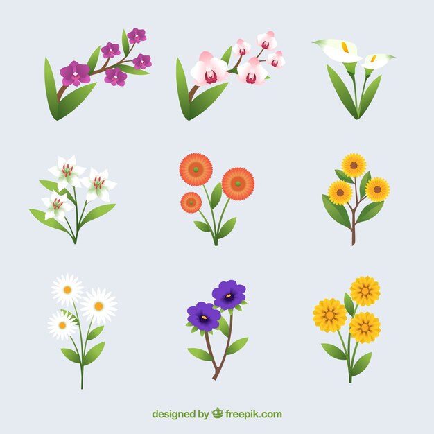 Vecteur gratuit collection de fleurs d'été en design plat