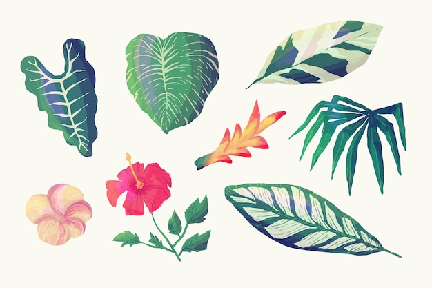 Collection De Fleurs Et De Feuilles Tropicales