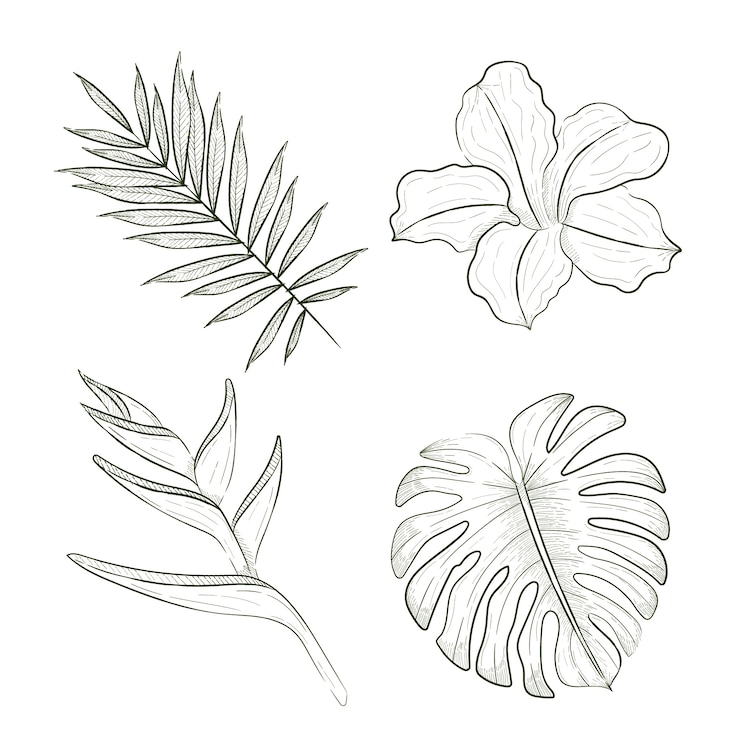 Vecteur gratuit collection de fleurs et de feuilles tropicales