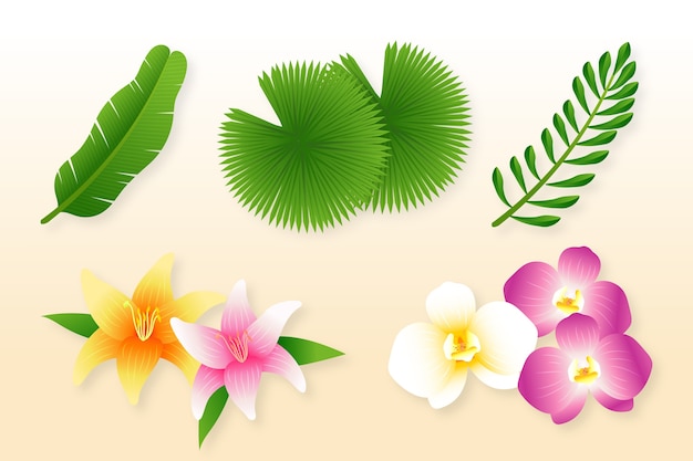 Collection de fleurs et de feuilles tropicales