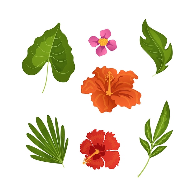 Collection de fleurs et de feuilles tropicales