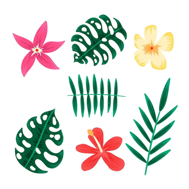 Collection de fleurs et de feuilles tropicales