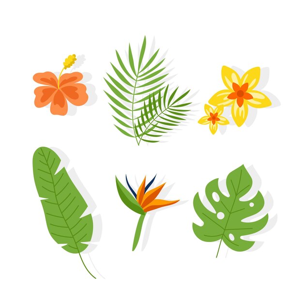 Collection de fleurs et de feuilles tropicales